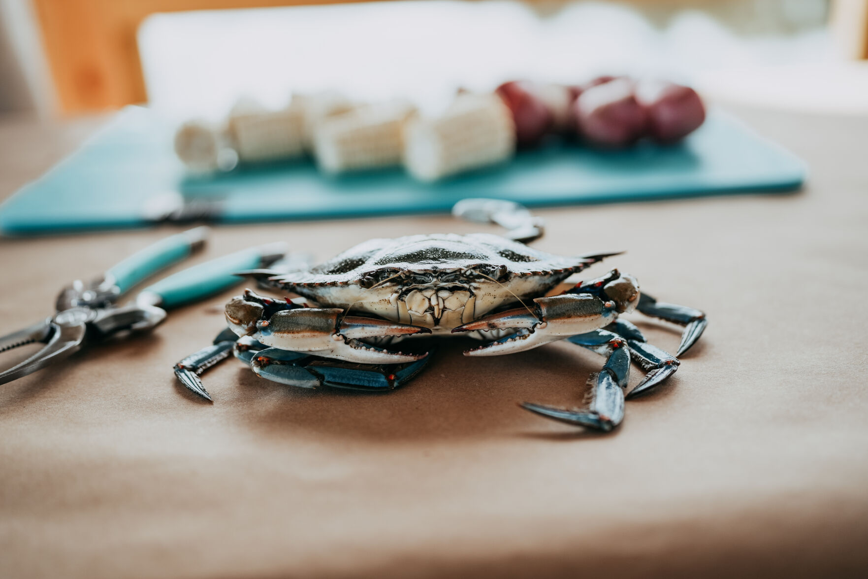 crab on table